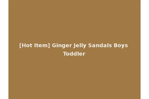 [Hot Item] Ginger Jelly Sandals Boys Toddler