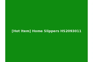 [Hot Item] Home Slippers HS2093011