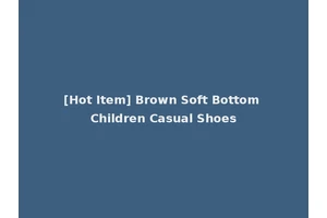 [Hot Item] Brown Soft Bottom Children Casual Shoes
