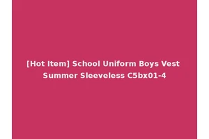 [Hot Item] School Uniform Boys Vest Summer Sleeveless C5bx01-4