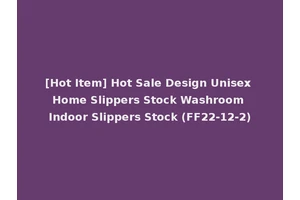 [Hot Item] Hot Sale Design Unisex Home Slippers Stock Washroom Indoor Slippers Stock (FF22-12-2)