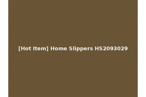 [Hot Item] Home Slippers HS2093029