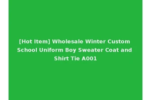 [Hot Item] Wholesale Winter Custom School Uniform Boy Sweater Coat and Shirt Tie A001