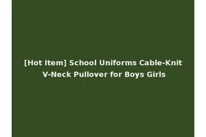 [Hot Item] School Uniforms Cable-Knit V-Neck Pullover for Boys Girls