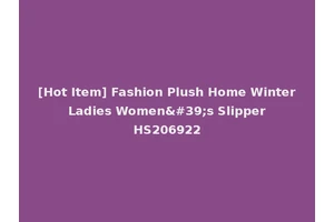 [Hot Item] Fashion Plush Home Winter Ladies Women's Slipper HS206922