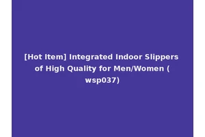 [Hot Item] Integrated Indoor Slippers of High Quality for Men/Women (wsp037)