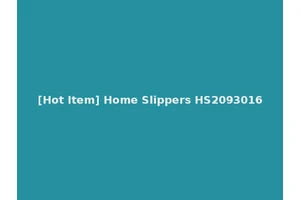 [Hot Item] Home Slippers HS2093016