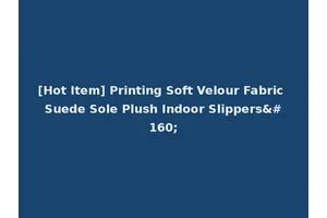 [Hot Item] Printing Soft Velour Fabric Suede Sole Plush Indoor Slippers 