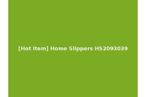 [Hot Item] Home Slippers HS2093039