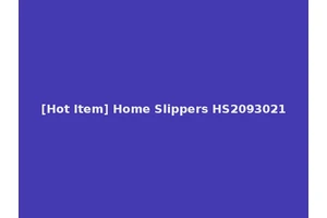 [Hot Item] Home Slippers HS2093021