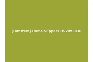 [Hot Item] Home Slippers HS2093030