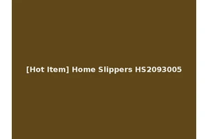 [Hot Item] Home Slippers HS2093005