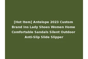 [Hot Item] Antelope 2023 Custom Brand Ins Lady Shoes Women Home Comfortable Sandals Silent Outdoor Anti-Slip Slide Slipper