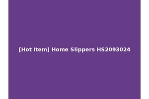 [Hot Item] Home Slippers HS2093024