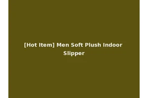 [Hot Item] Men Soft Plush Indoor Slipper