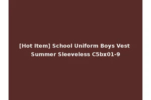 [Hot Item] School Uniform Boys Vest Summer Sleeveless C5bx01-9