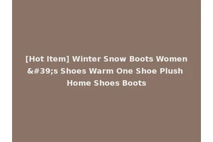 [Hot Item] Winter Snow Boots Women's Shoes Warm One Shoe Plush Home Shoes Boots