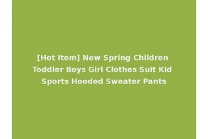 [Hot Item] New Spring Children Toddler Boys Girl Clothes Suit Kid Sports Hooded Sweater Pants