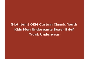 [Hot Item] OEM Custom Classic Youth Kids Men Underpants Boxer Brief Trunk Underwear