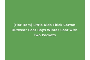 [Hot Item] Little Kids Thick Cotton Outwear Coat Boys Winter Coat with Two Pockets
