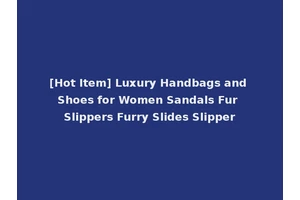 [Hot Item] Luxury Handbags and Shoes for Women Sandals Fur Slippers Furry Slides Slipper
