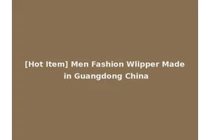 [Hot Item] Men Fashion Wlipper Made in Guangdong China