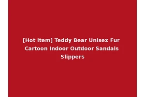 [Hot Item] Teddy Bear Unisex Fur Cartoon Indoor Outdoor Sandals Slippers