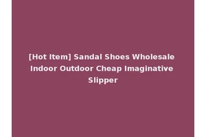 [Hot Item] Sandal Shoes Wholesale Indoor Outdoor Cheap Imaginative Slipper