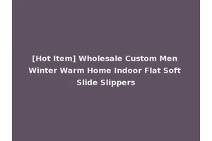 [Hot Item] Wholesale Custom Men Winter Warm Home Indoor Flat Soft Slide Slippers