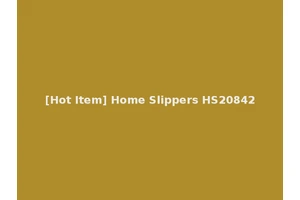 [Hot Item] Home Slippers HS20842