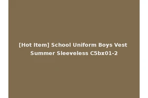[Hot Item] School Uniform Boys Vest Summer Sleeveless C5bx01-2