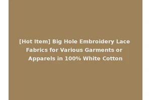 [Hot Item] Big Hole Embroidery Lace Fabrics for Various Garments or Apparels in 100% White Cotton