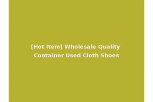 [Hot Item] Wholesale Quality Container Used Cloth Shoes