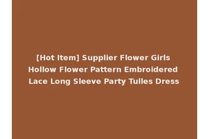 [Hot Item] Supplier Flower Girls Hollow Flower Pattern Embroidered Lace Long Sleeve Party Tulles Dress