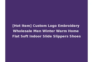 [Hot Item] Custom Logo Embroidery Wholesale Men Winter Warm Home Flat Soft Indoor Slide Slippers Shoes