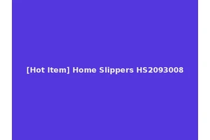 [Hot Item] Home Slippers HS2093008