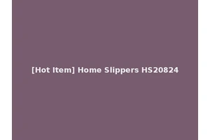 [Hot Item] Home Slippers HS20824