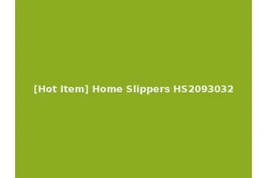 [Hot Item] Home Slippers HS2093032