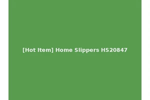[Hot Item] Home Slippers HS20847