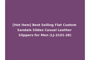 [Hot Item] Best Selling Flat Custom Sandals Slides Casual Leather Slippers for Men (LJ-2101-28)