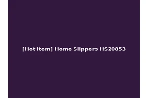 [Hot Item] Home Slippers HS20853