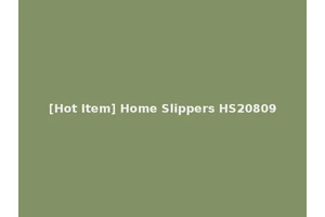 [Hot Item] Home Slippers HS20809