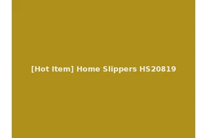 [Hot Item] Home Slippers HS20819