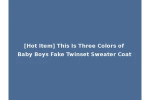 [Hot Item] This Is Three Colors of Baby Boys Fake Twinset Sweater Coat