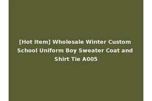 [Hot Item] Wholesale Winter Custom School Uniform Boy Sweater Coat and Shirt Tie A005