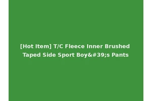 [Hot Item] T/C Fleece Inner Brushed Taped Side Sport Boy's Pants