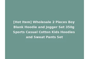 [Hot Item] Wholesale 2 Pieces Boy Blank Hoodie and Jogger Set 350g Sports Casual Cotton Kids Hoodies and Sweat Pants Set