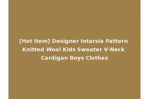 [Hot Item] Designer Intarsia Pattern Knitted Wool Kids Sweater V-Neck Cardigan Boys Clothes