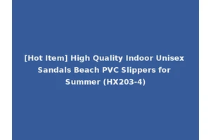 [Hot Item] High Quality Indoor Unisex Sandals Beach PVC Slippers for Summer (HX203-4)