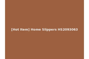 [Hot Item] Home Slippers HS2093063